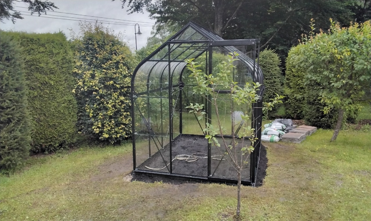 Von einem Kunden aufgenommenes Foto von Vitavia Gewächshaus Orion 5000 inkl. 1 Dachfenster - 5,0 m² Von einem Kunden aufgenommenes Foto von Vitavia Gewächshaus Orion 5000 inkl. 1 Dachfenster - 5,0 m²