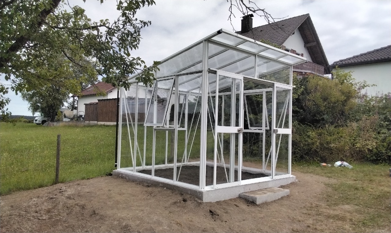 Von einem Kunden aufgenommenes Foto von Vitavia Gewächshaus Aura 7800 inkl. 4 Fenstern - 7,8 m² Von einem Kunden aufgenommenes Foto von Vitavia Gewächshaus Aura 7800 inkl. 4 Fenstern - 7,8 m²
