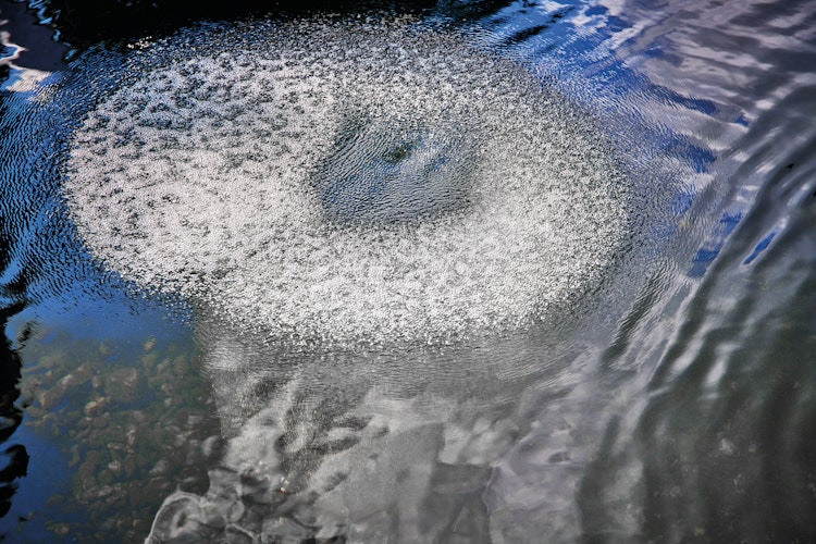 AquaOxy Belüfterring D 60 cm