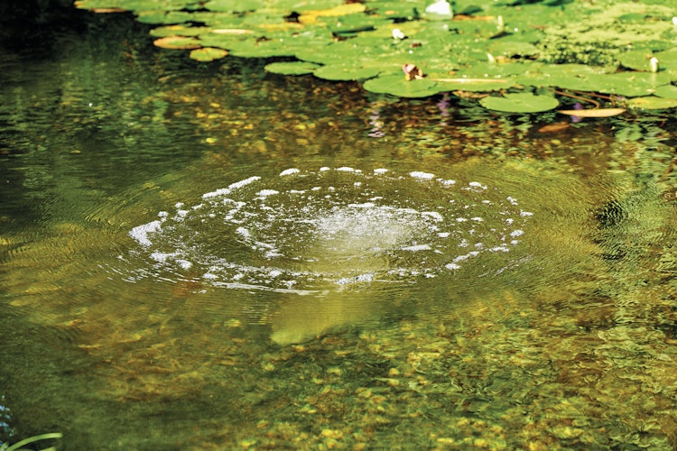 AquaOxy Belüfterstab L