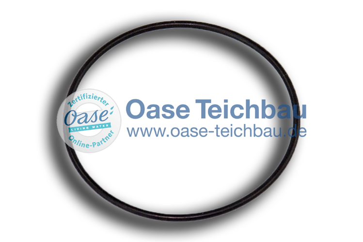 Oase O-Ring Viton 30 x 1 SH80 Lampenschutz (23871)