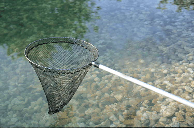 Oase Fischkescher groß