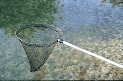 Oase Fischkescher klein Oase Fischkescher kleinZubehörbild