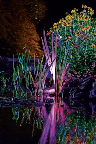 Oase ProfiLux Garden LED RGB Bild