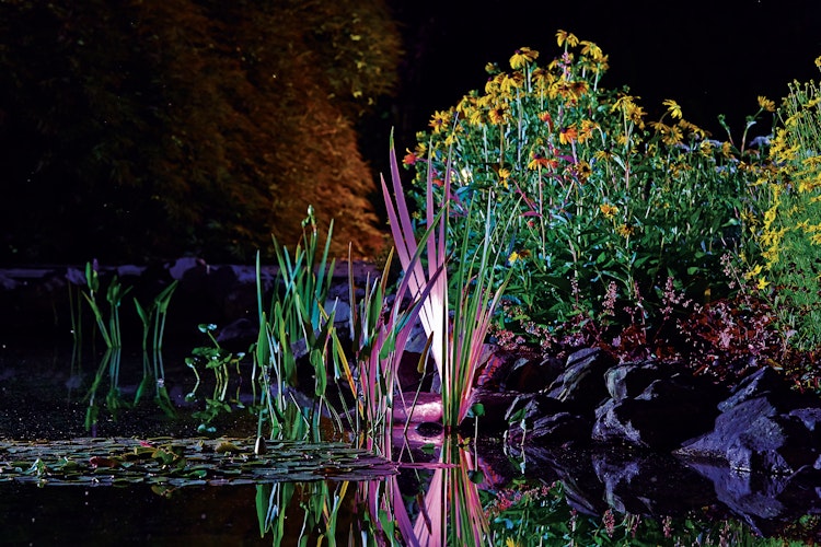 Oase ProfiLux Garden LED RGB Bild