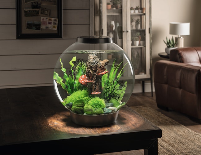 BiOrb Aquarium CLASSIC 30 MCR