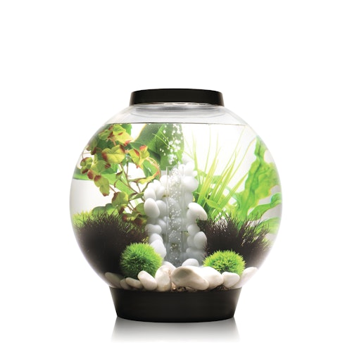 BiOrb Aquarium CLASSIC 30 MCR