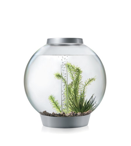 biOrb CLASSIC 30 MCR silber