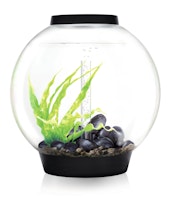 biOrb CLASSIC 60 MCR schwarz (45752)