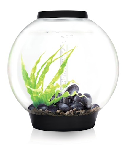 BiOrb Aquarium CLASSIC 60 MCR Bild