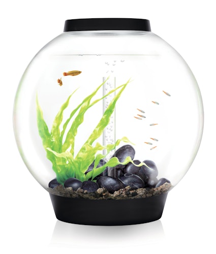 BiOrb Aquarium CLASSIC 60 MCR Bild