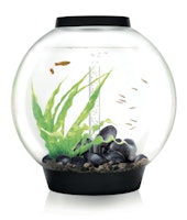 BiOrb Aquarium CLASSIC 60 MCR