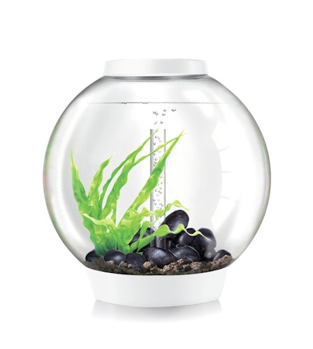 BiOrb Aquarium CLASSIC 60 MCR Bild