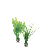 biOrb Pflanzen Set klein grün (46055)Zubehörbild
