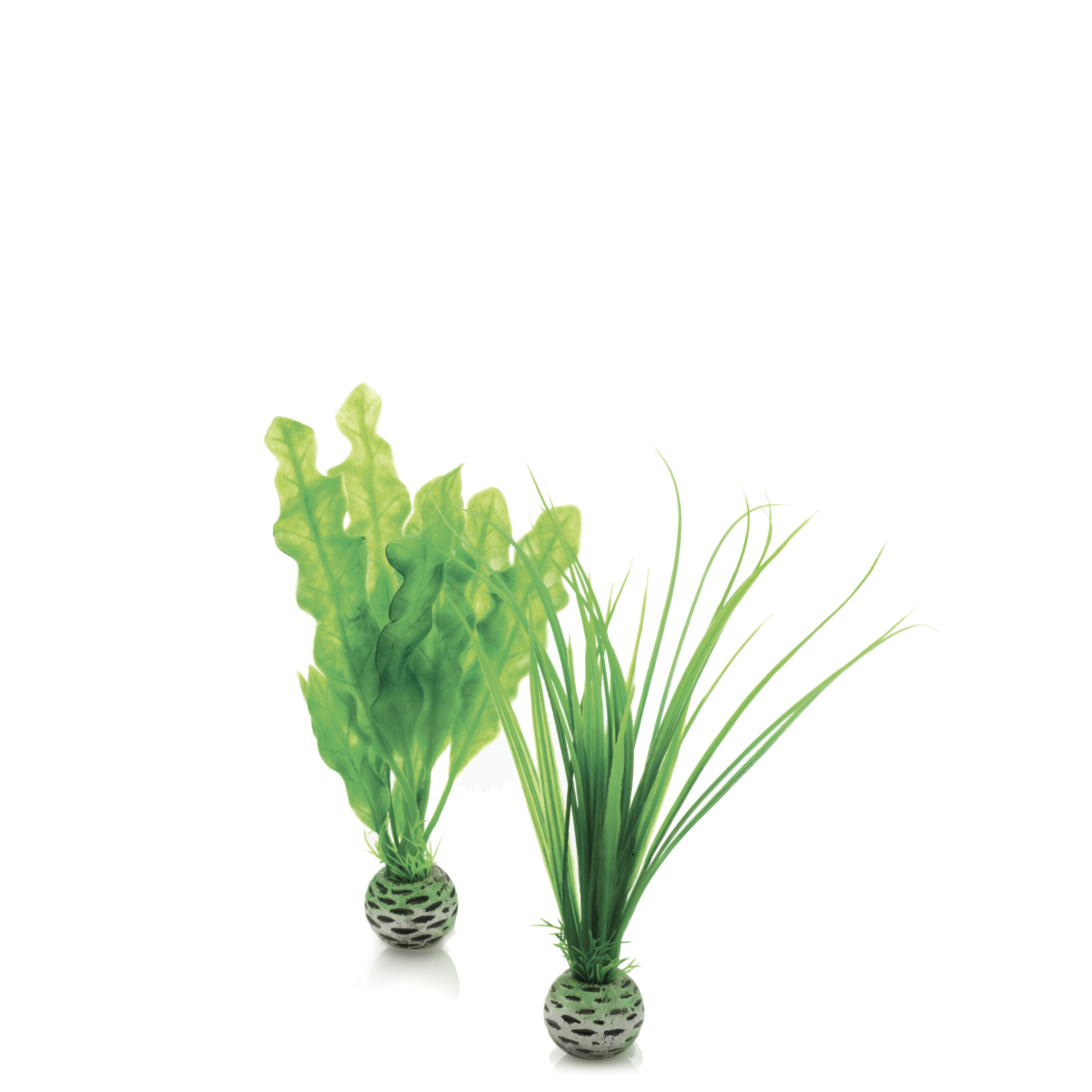 biOrb Pflanzen Set klein grün (46055)