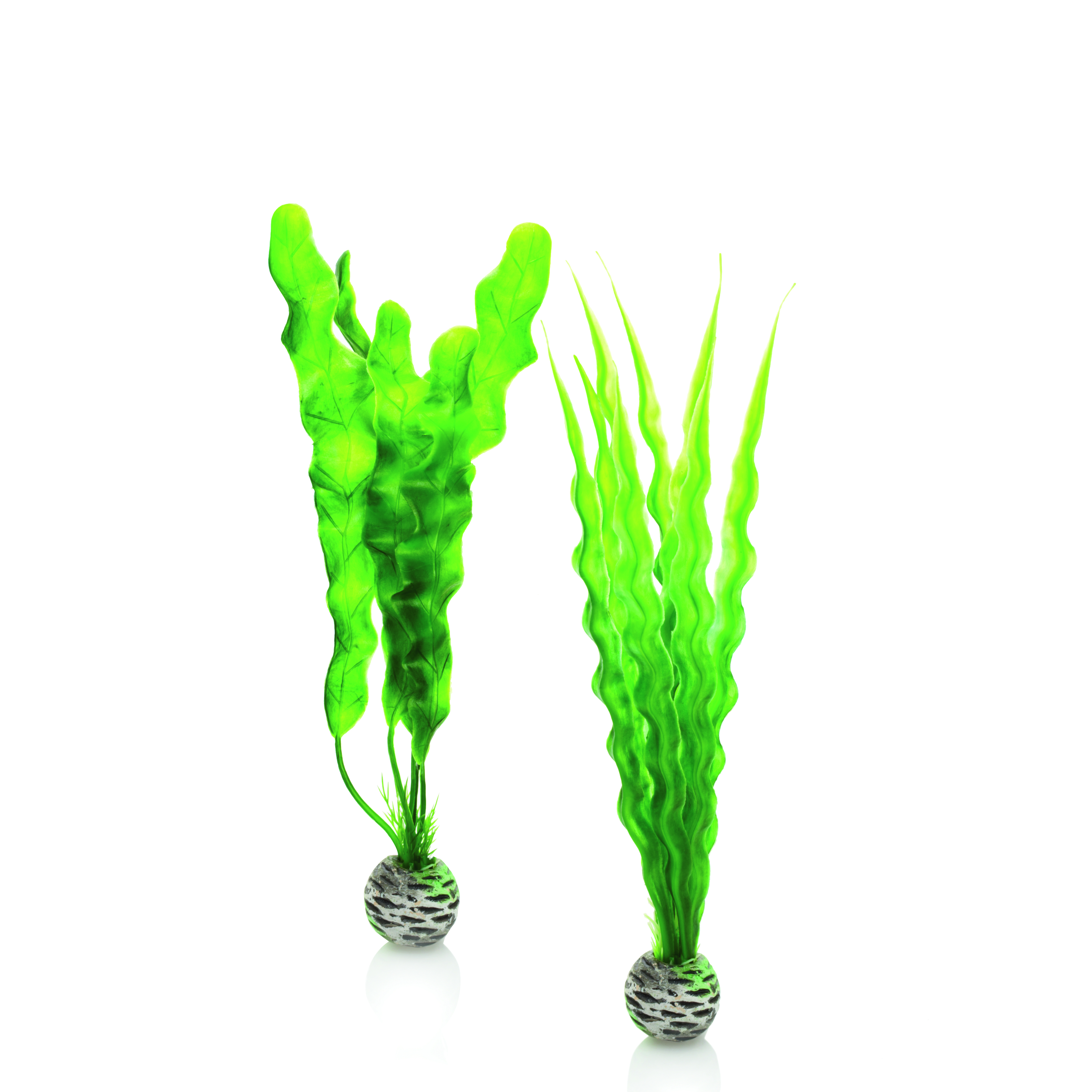 biOrb Pflanzen Set mittelgroß grün (46056)