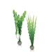 biOrb Pflanzen Set mittelgroß grün (46056)Bild