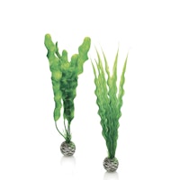 biOrb Pflanzen Set mittelgroß grün (46056)