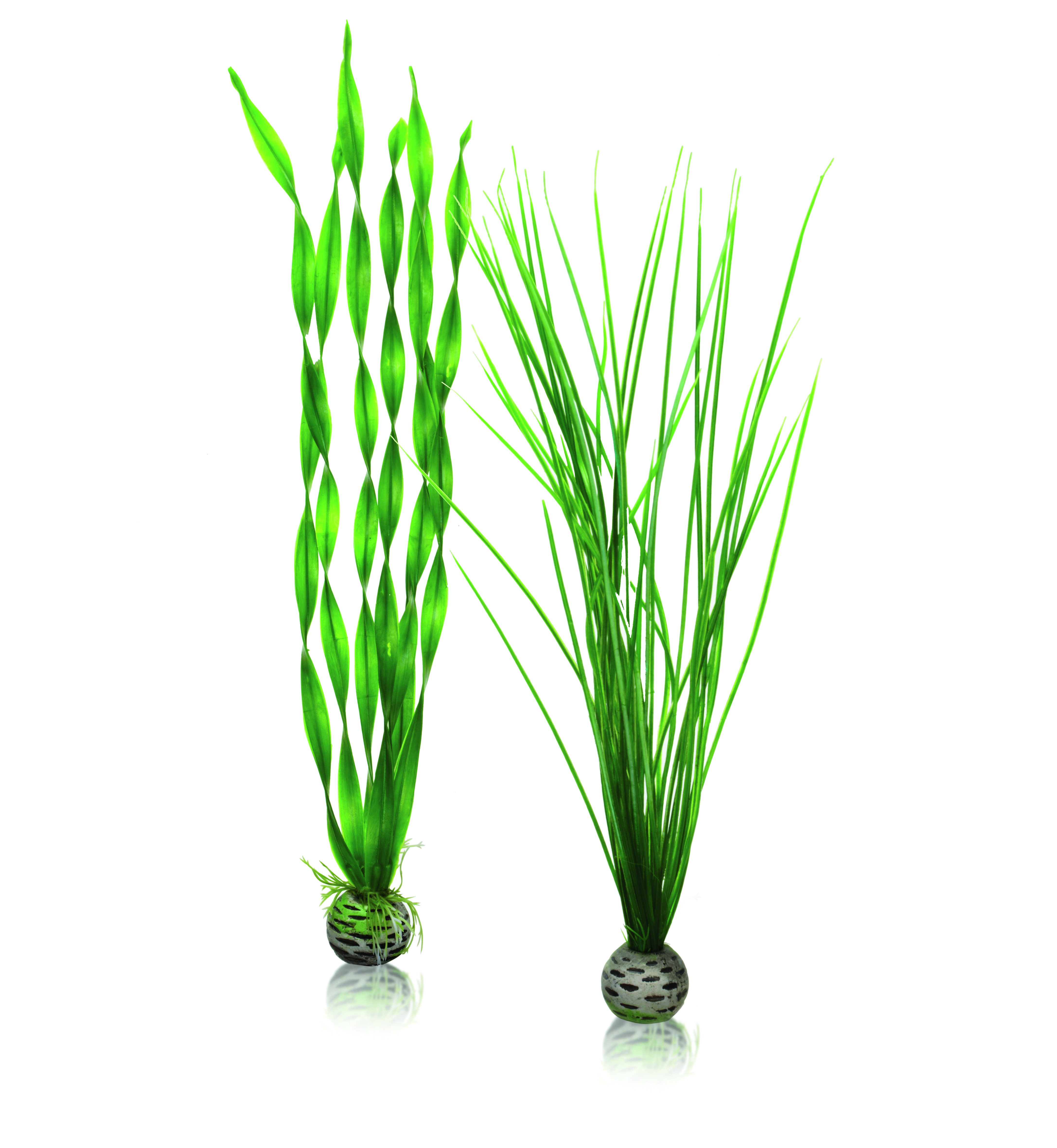 biOrb Pflanzen Set groß grün (46057)