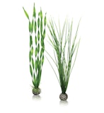 biOrb Pflanzen Set groß grün (46057)Zubehörbild