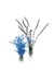 biOrb Pflanzen Set mittel blau & lila (46059)Bild