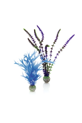 biOrb Pflanzen Set mittel blau & lila (46059)