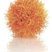 biOrb Gewächsball orange (46062)Bild