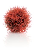 biOrb Gewächsball rot (46063)Zubehörbild