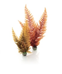 biOrb Herbstfarn Set 2 (46065)