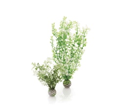 biOrb Winterblume Set 2 (46067)