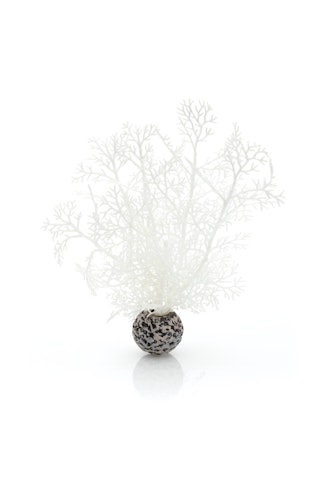 biOrb Hornkoralle klein weiß (46068)