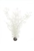 biOrb Hornkoralle groß weiß (46072)Bild