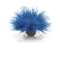 biOrb Seelilie blau (46076)