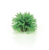 biOrb Blumenball grün (46087)