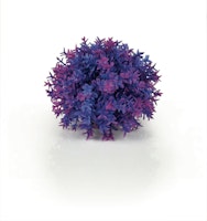 biOrb Blumenball lila (46089)