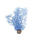 biOrb Hornkoralle klein blau (46091)Zubehörbild
