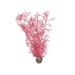 biOrb Hornkoralle mittelgroß pink (46096)Bild