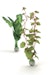 biOrb Seidenpflanzen Set mittelgroß grün (46100)Bild