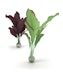 biOrb Seidenpflanzen Set mittel grün & lila (46101)Bild