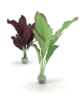 biOrb Seidenpflanzen Set mittel grün & lila (46101)