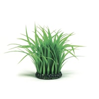 biOrb Grasring mittelgroß grün (46104)