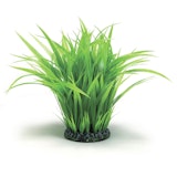 biOrb Grasring groß grün (46105)Zubehörbild