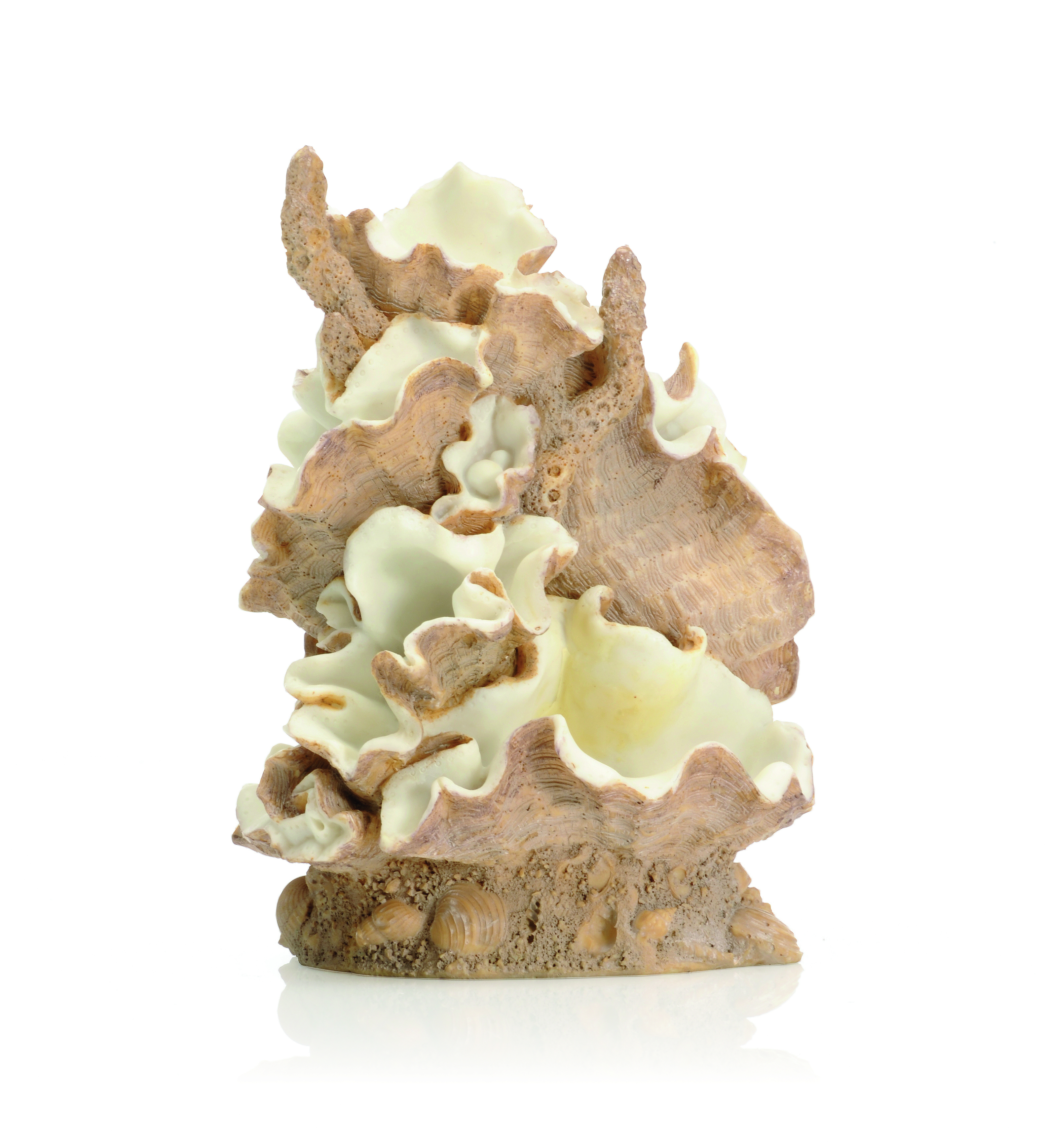 Vorschaubild Galerie biOrb Muschel Ornament mittel (46108)