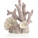 biOrb Korallen Ornament mittel (46117)Bild