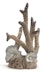biOrb Korallen Ornament groß (46118)Bild