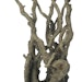 biOrb Moorgehölz Ornament groß (46120)