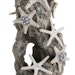 biOrb Seesternfelsen Ornament (46132)