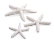 biOrb Seestern Set 3 weiß (46134)Zubehörbild