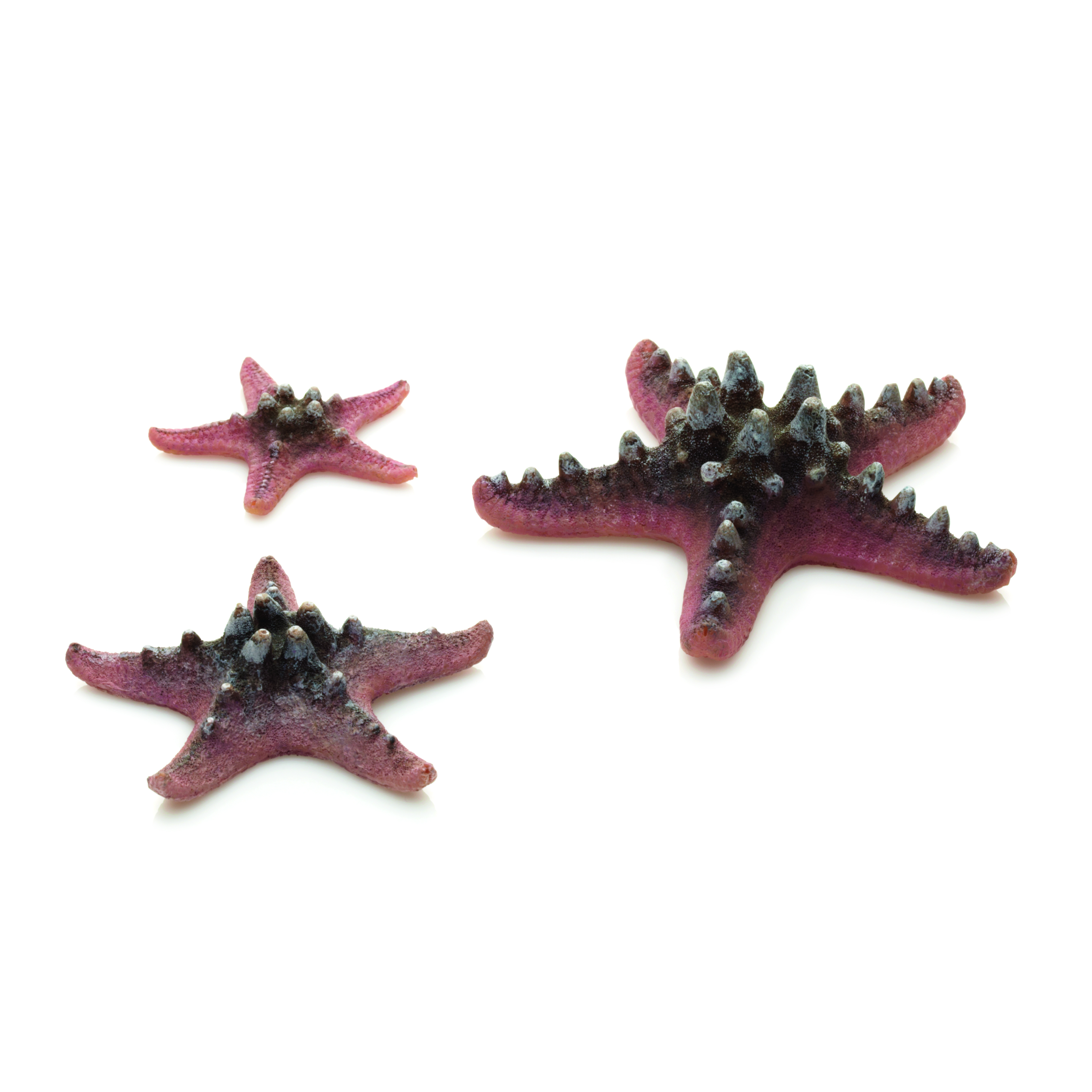 Vorschaubild Galerie biOrb Seestern Set 3 pink (46136)
