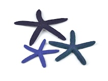 biOrb Seestern Set 3 blau (46143) biOrb Seestern Set 3 blau (46143)Zubehörbild